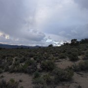 MonoBasin 125 : MonoBasin